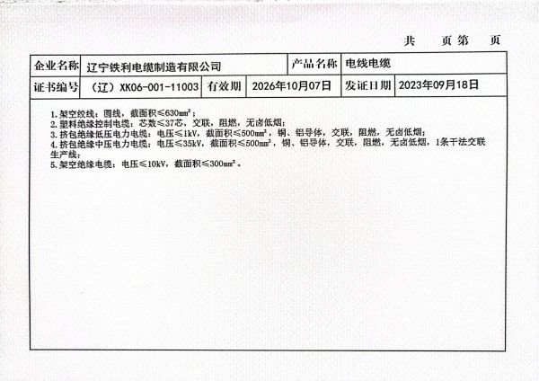 全国工业生产许可证  2.jpg